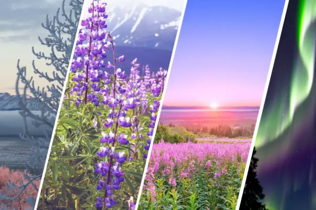 Alaska’s 4 Seasons