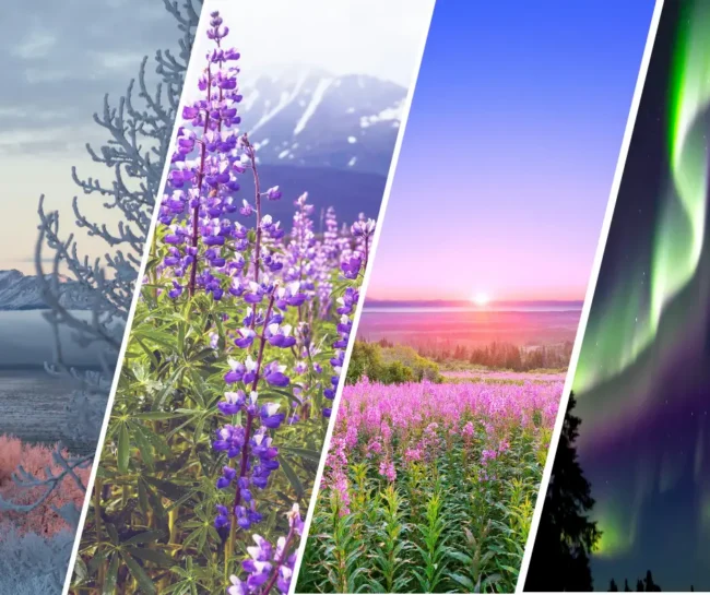 Alaska’s 4 Seasons